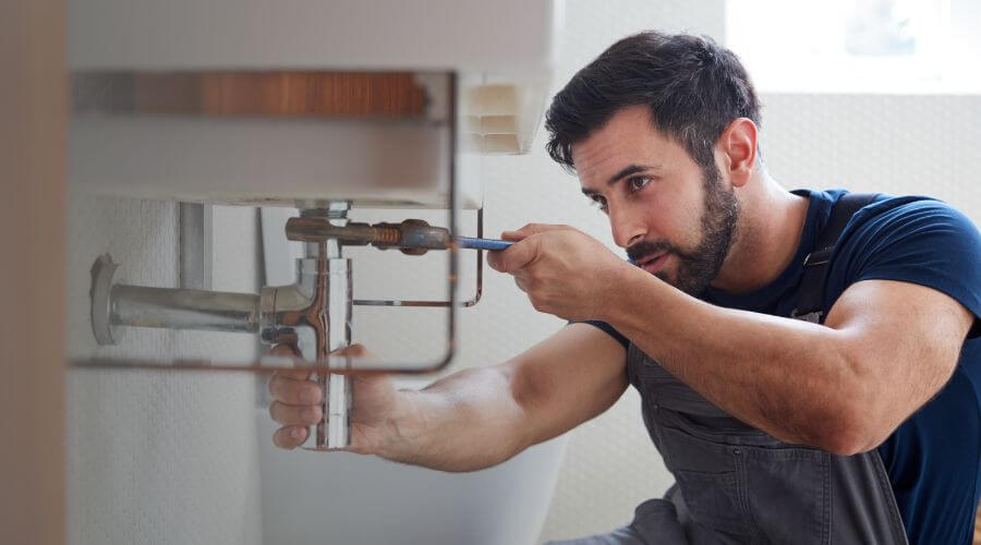 Trap Repair/Replacement in Saint Anthony, IA